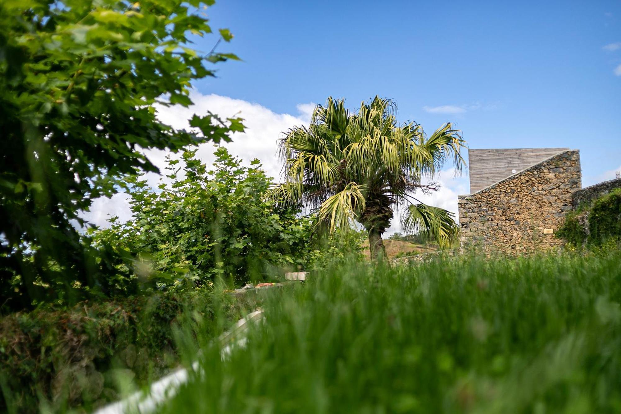 Villa Solar Branco Eco Estate Ponta Delgada Exterior foto